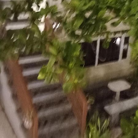 Beachfront Bed & Breakfast Сан Хосе Екстериор снимка